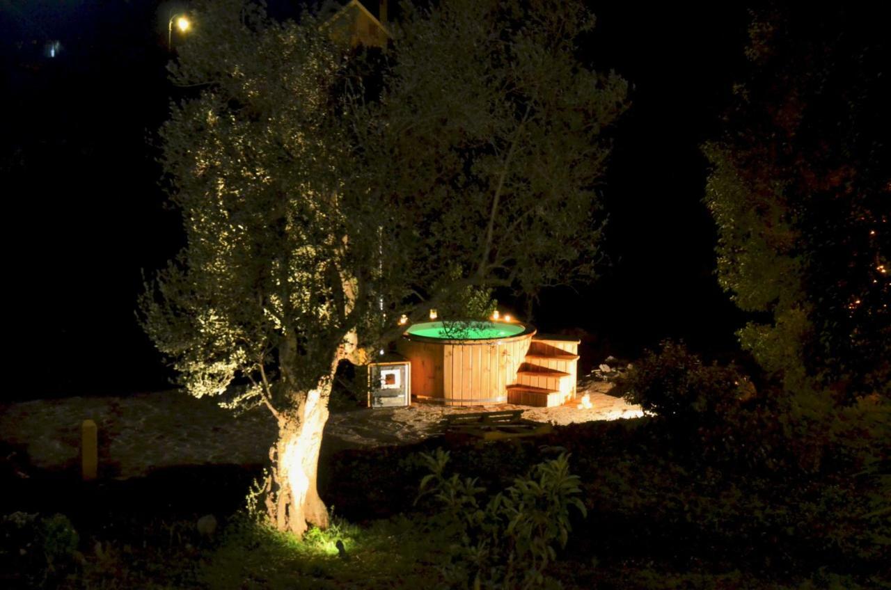 Casale Del Gelso Villa Genzano di Roma Eksteriør billede