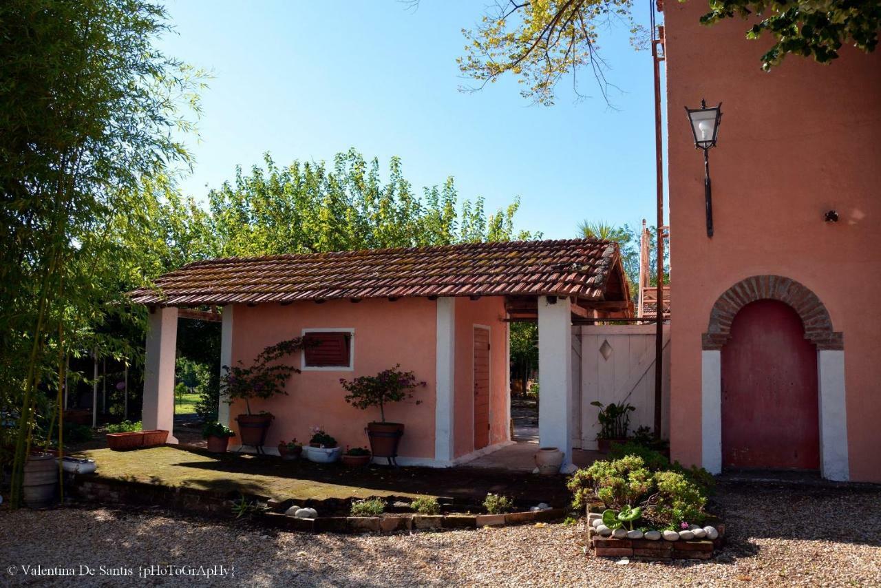 Casale Del Gelso Villa Genzano di Roma Eksteriør billede